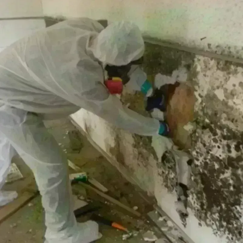 Mold Remediation and Removal in Garfield County, NE